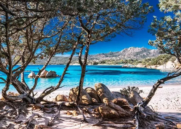 Casa Indipendente Nel Cuore Della Costa Smeralda Comfort Per Famiglie E Gruppi